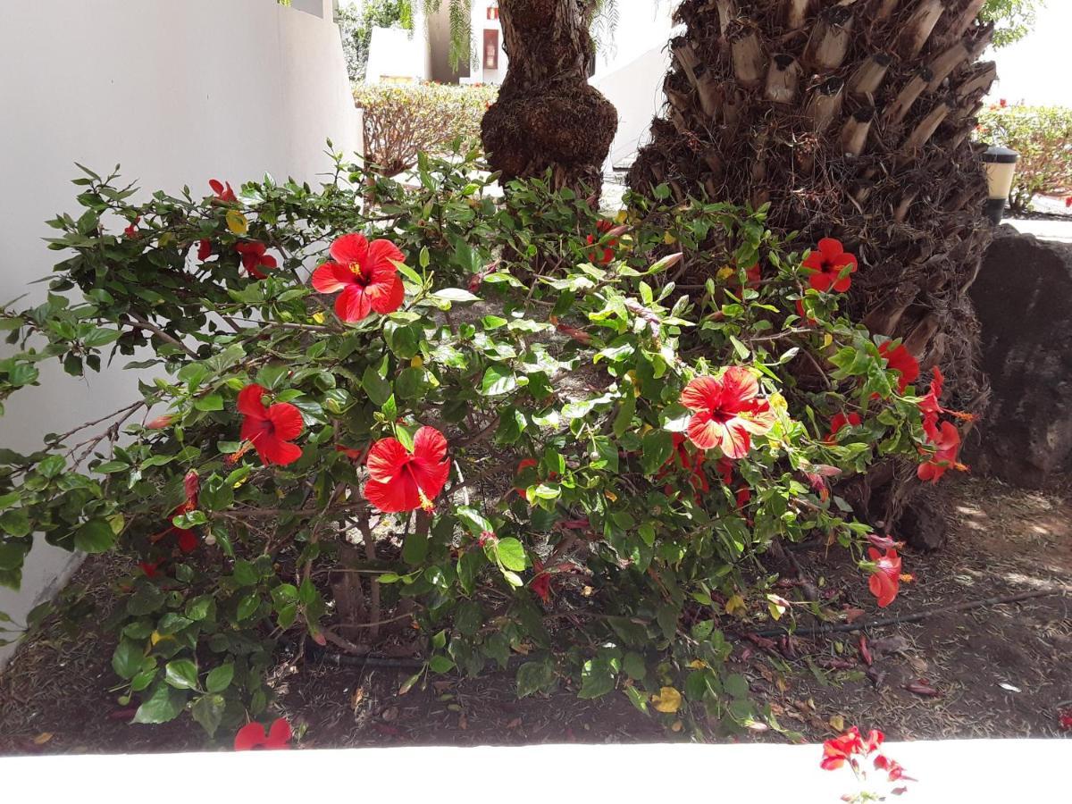 Le Parisien Apartment Costa Teguise Ngoại thất bức ảnh